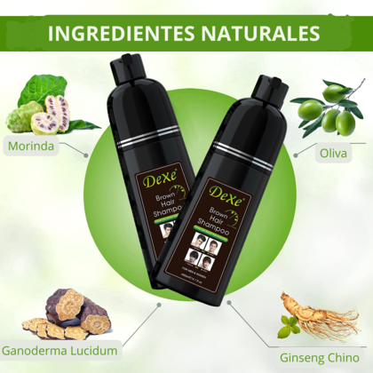 Black Hair Shampoo ® Shampoo cubre canas para hombres y mujeres (pack x10)